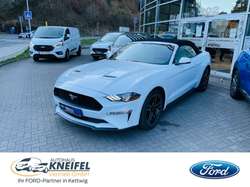Ford Mustang Convertible Eco Boost Leder Navi Keyless AD Klimas (1028/AAL)